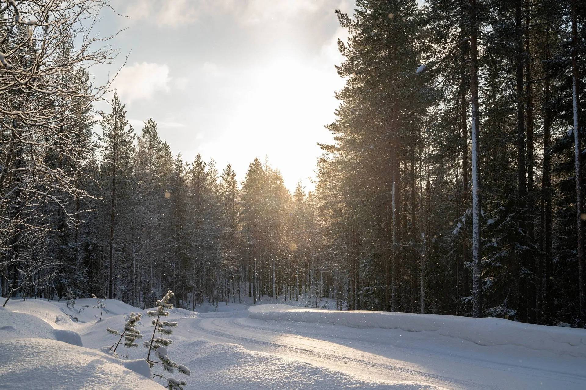 Oulanka Nationalpark. Bild 7