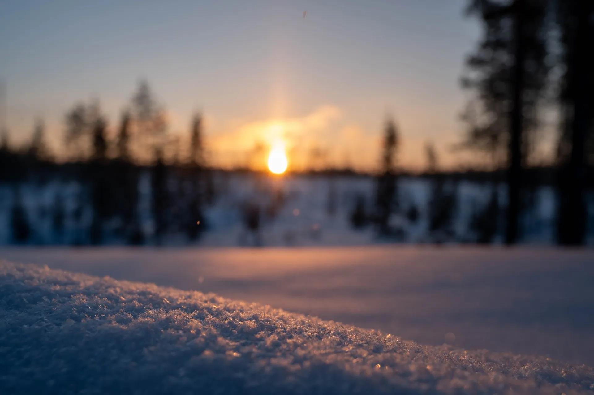 Oulanka Nationalpark. Bild 8