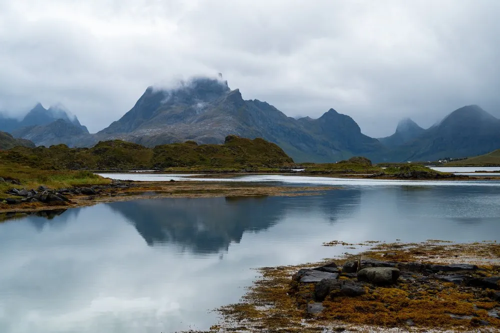 Eine Bergkette mit wolkenverhangenen Gipfeln spiegelt sich in einer stillen Bucht, im Vordergrund Steine und Algen