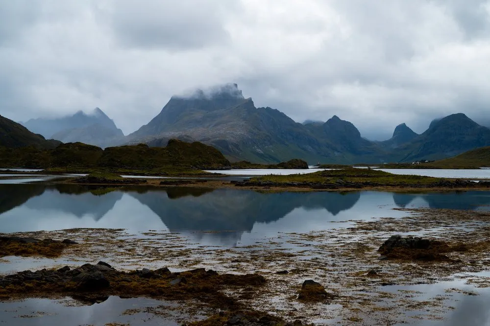 Flaches Wasser mit der Spiegelung eines Bergmassivs, dessen Gipfel in Wolken liegt, davor Tang auf Steinen