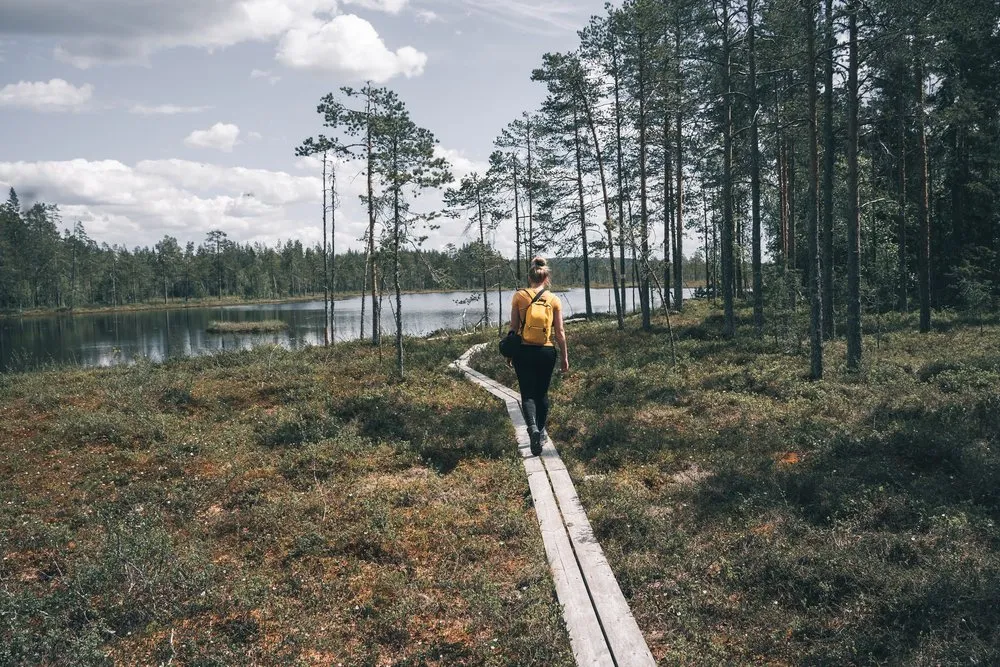 Wanderin mit gelbem Rucksack auf einem schmalen Holzsteg durch das Moor im Hamra Nationalpark, links ein Waldsee
