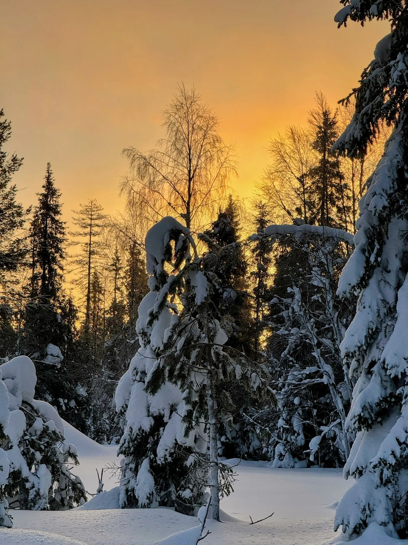 Raus aus der Glashütte, rein in die Villa!. Bild 9