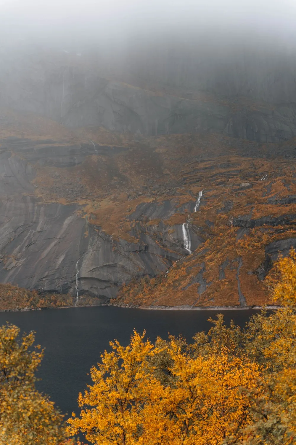 Herbstlich gelbe Bäume über einem See auf dem Weg nach Nusfjord, an der Felswand dahinter Wasserfälle im Nebel