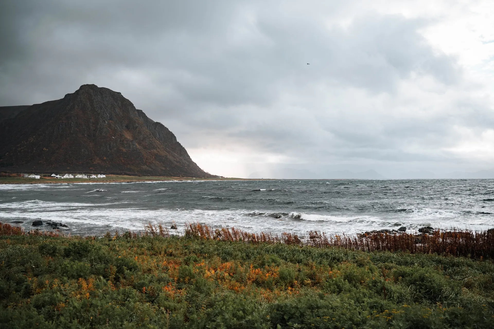 Ein dunkler Berg mit weissen Häusern an seinem Fuss über der aufgewühlten Bucht bei Nøss, im Vordergrund grünes und oranges Kraut