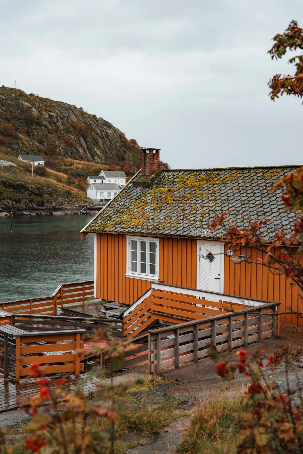 Ein ockerfarbenes Haus mit bemoostem Dach in Sakrisøy, vorne rote Vogelbeeren