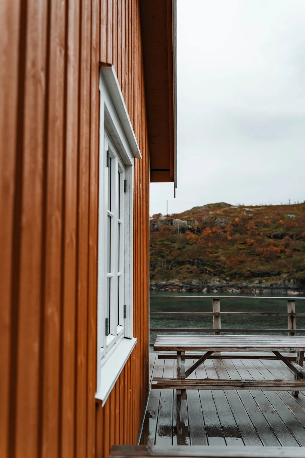 Die ockerfarbene Holzwand eines Rorbu in Sakrisøy mit weissem Fensterrahmen, daneben ein nasser Picknicktisch auf dem Deck