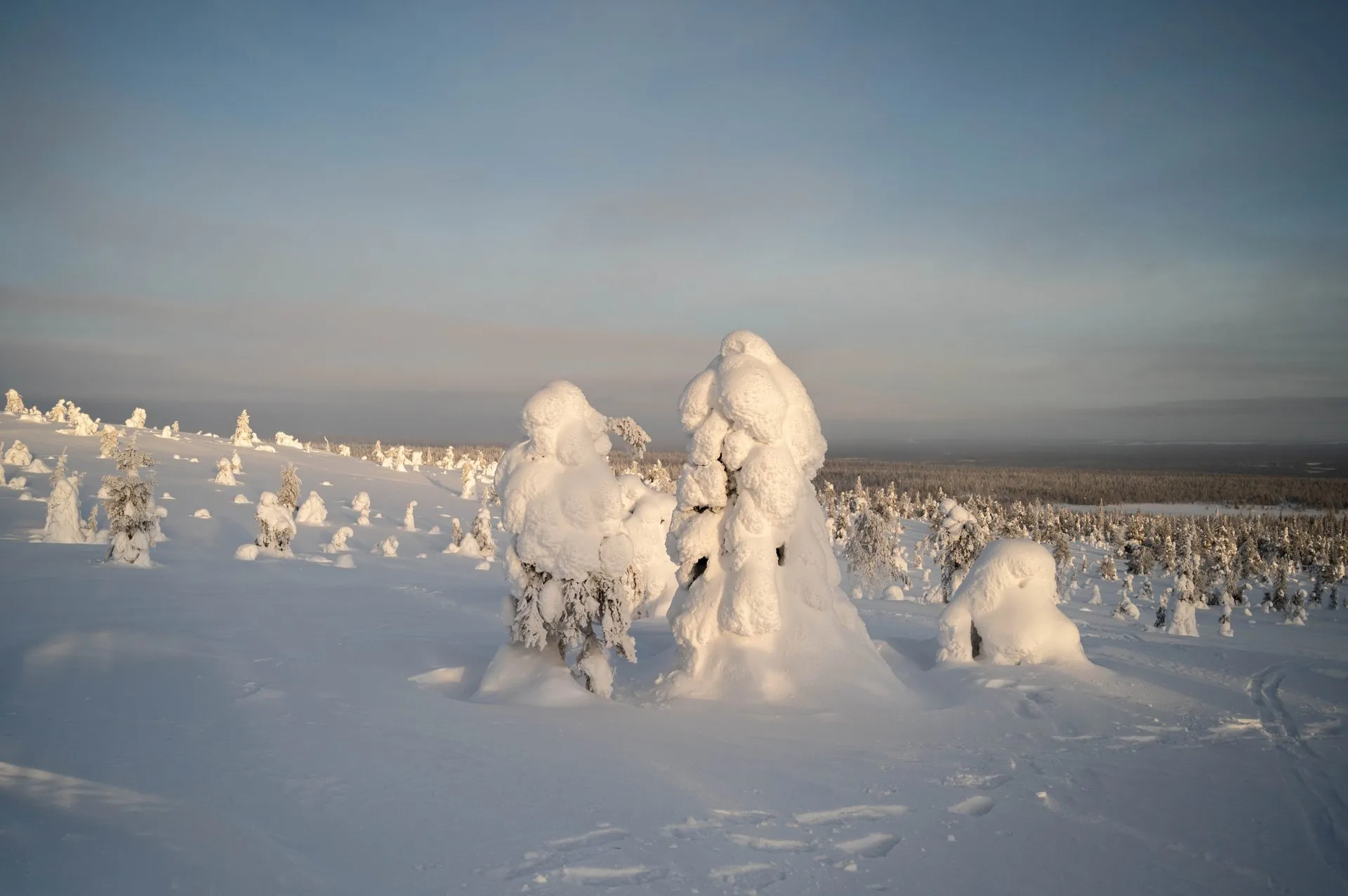 Rentierfarm & Riisitunturi Nationalpark. Bild 20