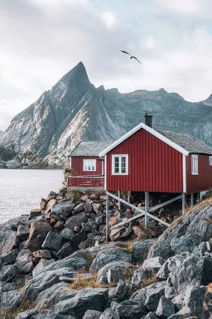 Sakrisøy - Nusfjord. Bild 16
