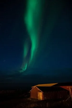 Sakrisøy - Nusfjord. Bild 28
