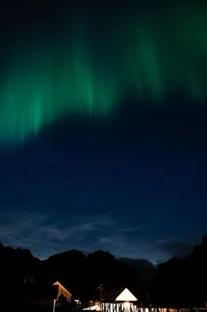 Sakrisøy - Nusfjord. Bild 35