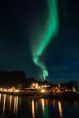 Sakrisøy - Nusfjord. Bild 36
