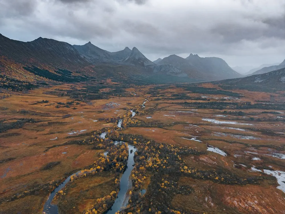 Ein Bach windet sich durch rotbraunes Moor und gelbe Bäume auf spitze Berge zu, aus der Luft unterwegs nach Andøya