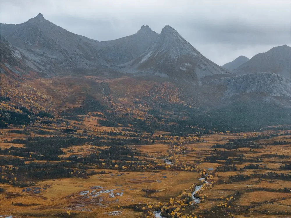 Spitze graue Berge über einem herbstlichen Tal mit gelben Bäumen und einem schmalen Bach, aus der Luft unterwegs nach Andøya