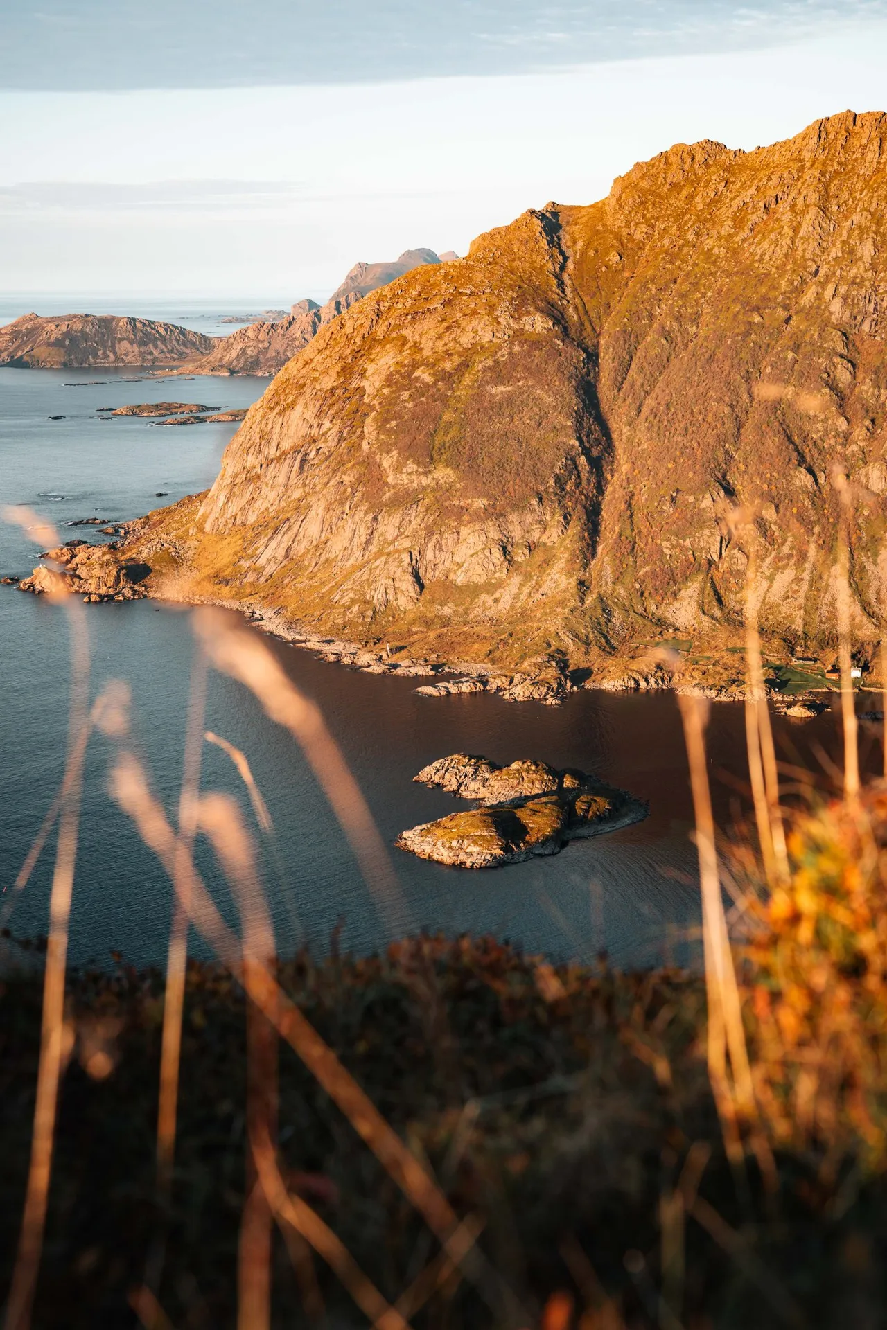 Die kleine herzförmige Insel in der Bucht unter einer Felswand im Abendlicht, vorne unscharf trockene Gräser, vom Skårvågsfjellet aus