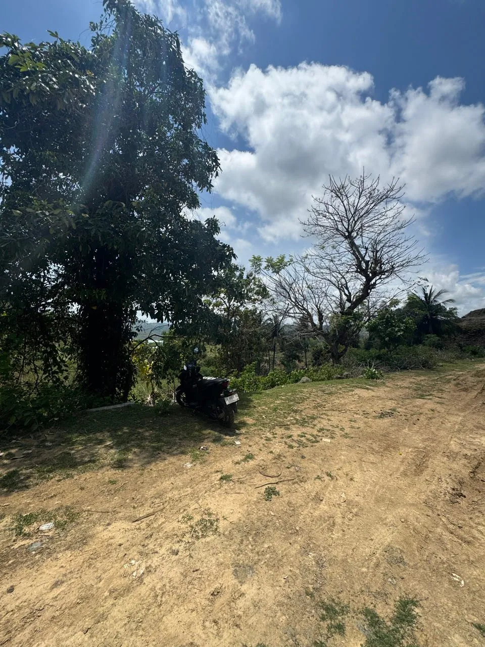 The scooter in the shade of a tree at the edge of the dirt path, behind it a slope with trees and clouds in the blue sky