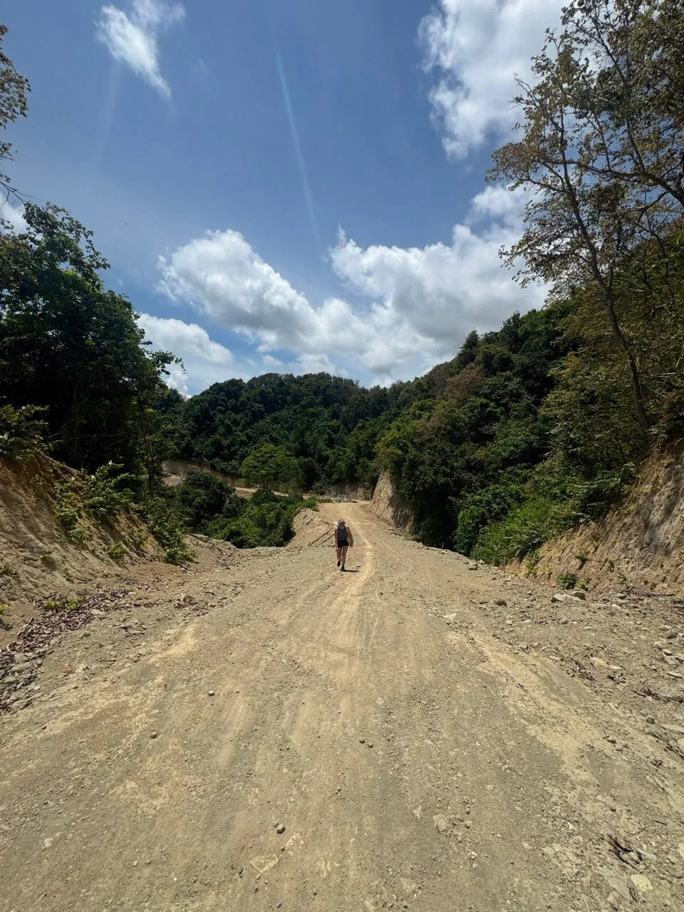 A person with a cap and backpack walks on the wide dirt path between wooded slopes, clouds in the blue sky above