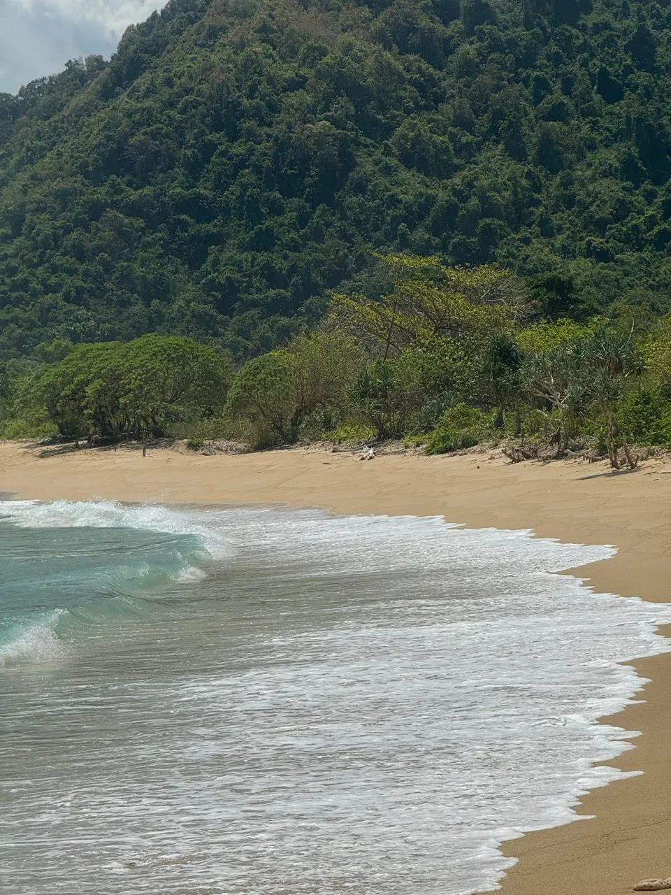 Light sand and waves running out in white foam, behind them a densely wooded slope