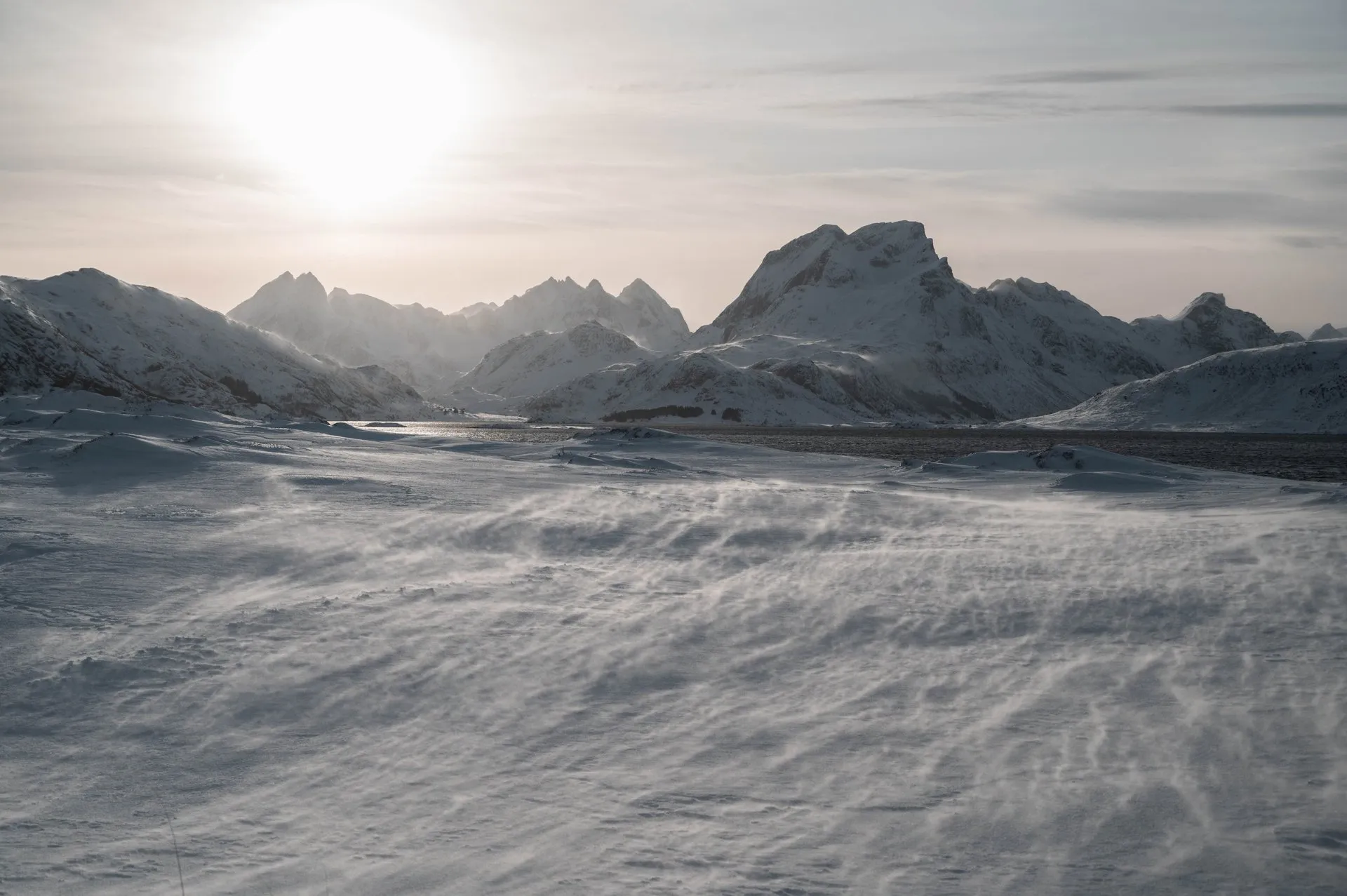 Snowsnakes auf den Lofoten. Bild 5