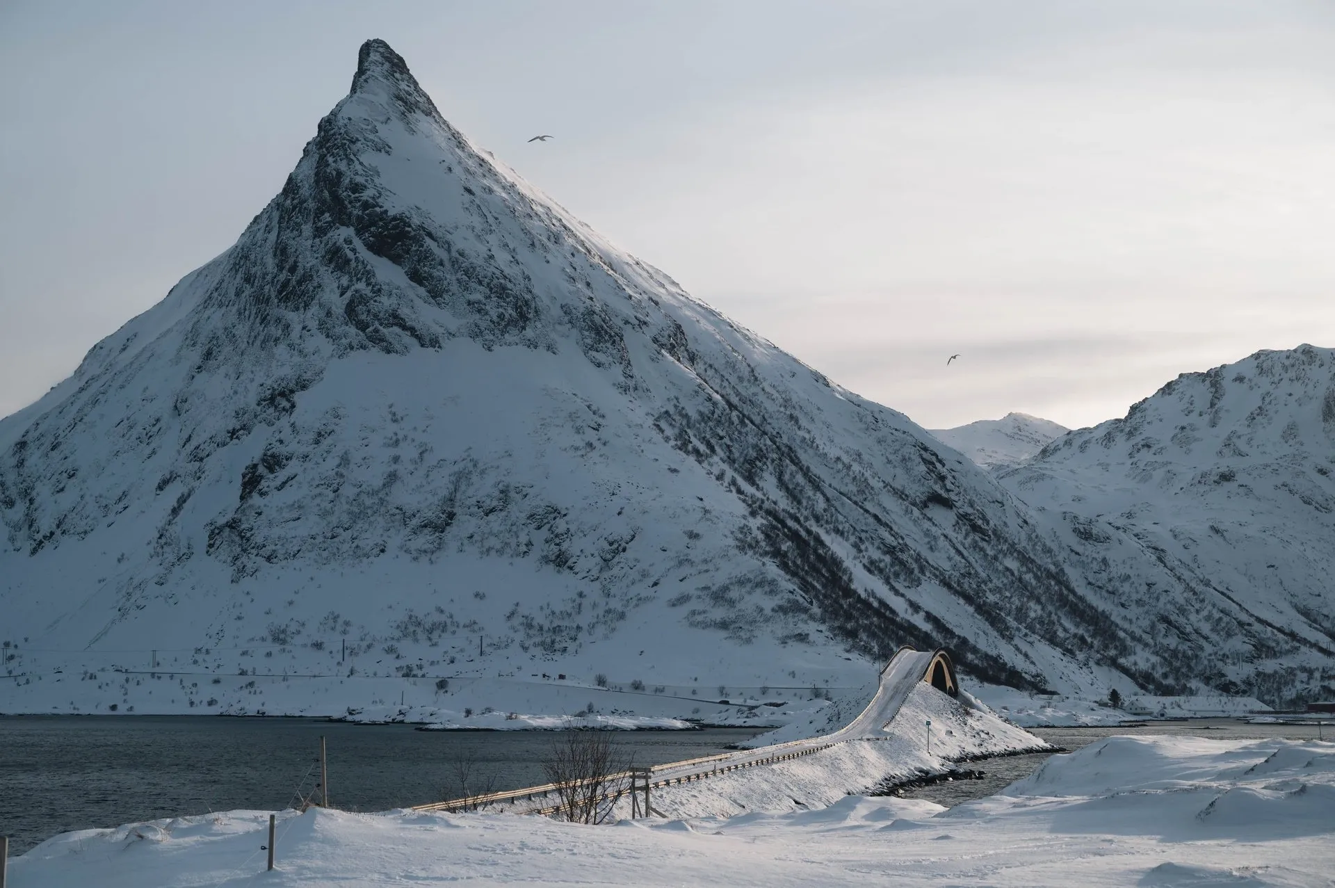 Snowsnakes auf den Lofoten. Bild 9