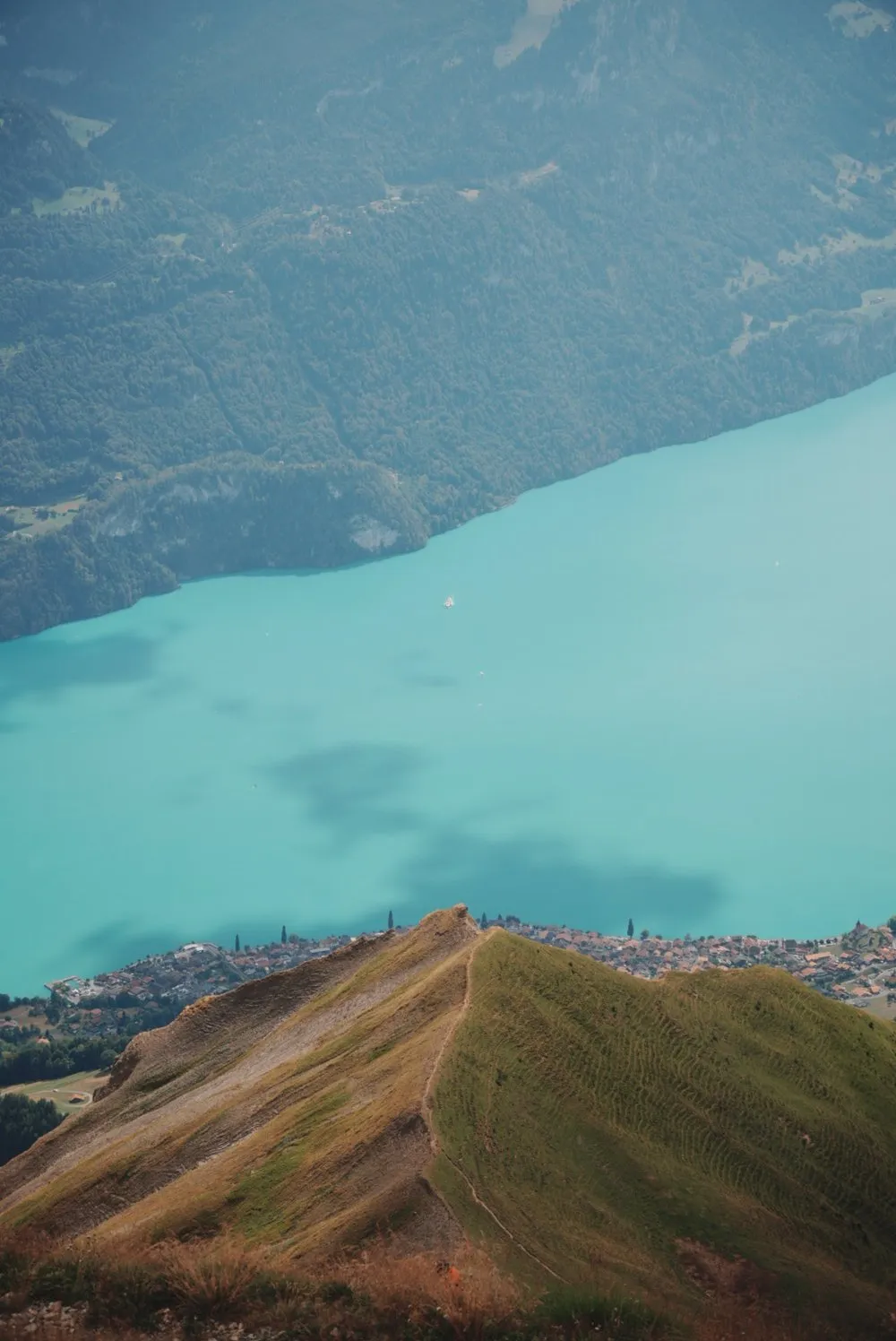 Blick vom Grat über dem Brienzersee hinunter auf das türkise Wasser und die Dörfer am Ufer