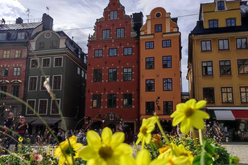 Die bunten Giebelhäuser am Stortorget in Gamla Stan, davor gelbe Blumen