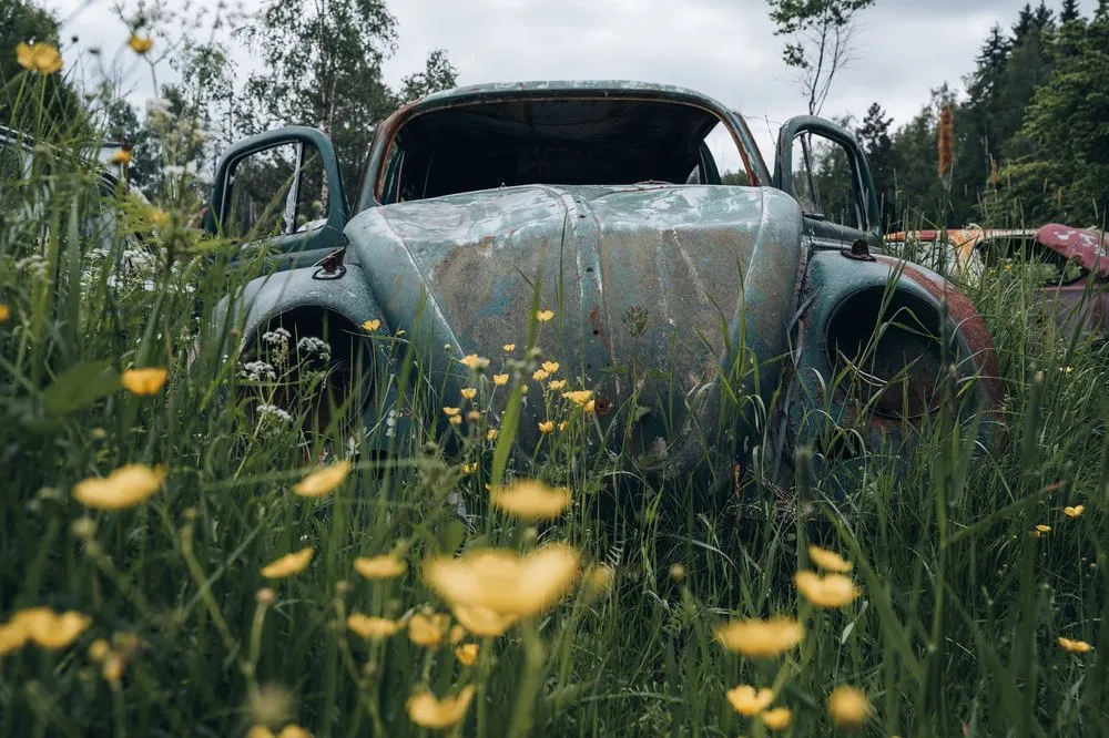 Ein türkisgrünes Wrack im hohen Gras zwischen gelben Blüten, aus tiefem Blickwinkel fotografiert