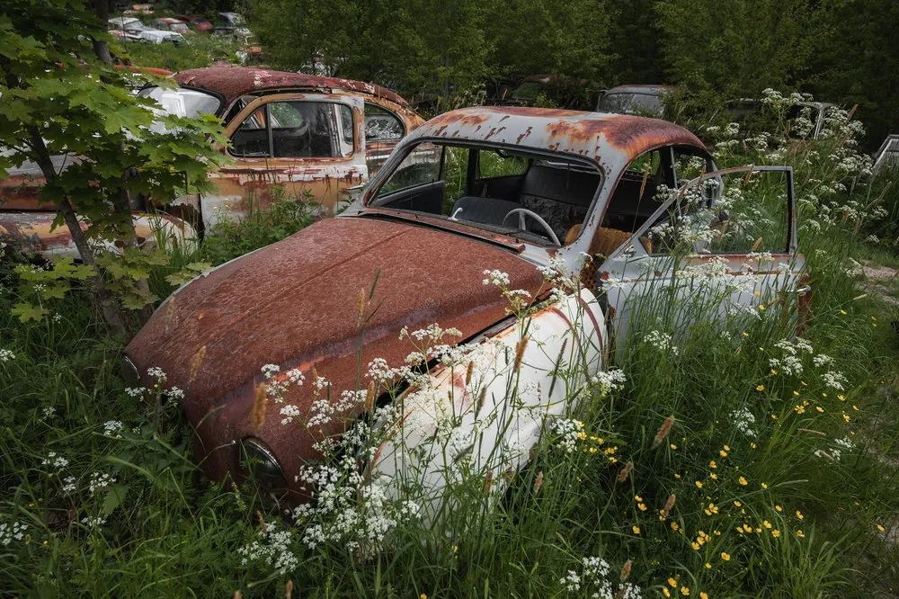 Ein rostbraunes Auto mit weisser Seite steht in einer Wiese zwischen weissen und gelben Blumen