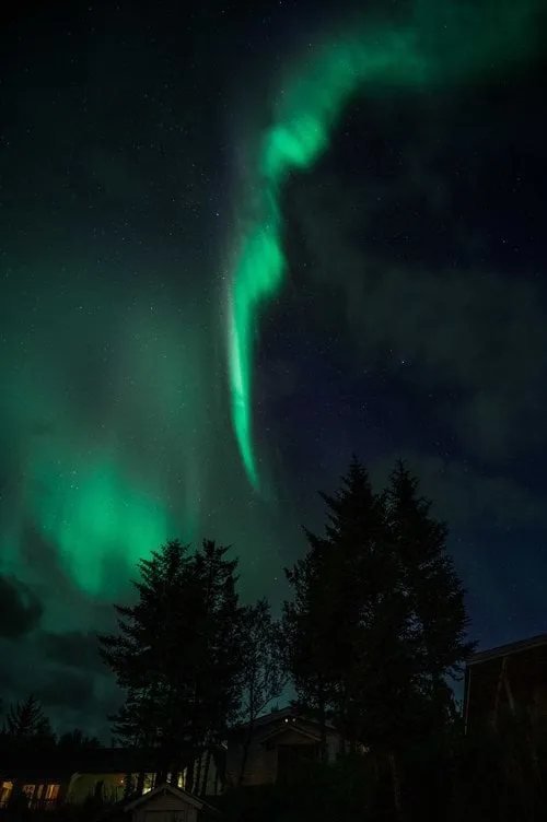 Svolvær - Senja. Bild 26