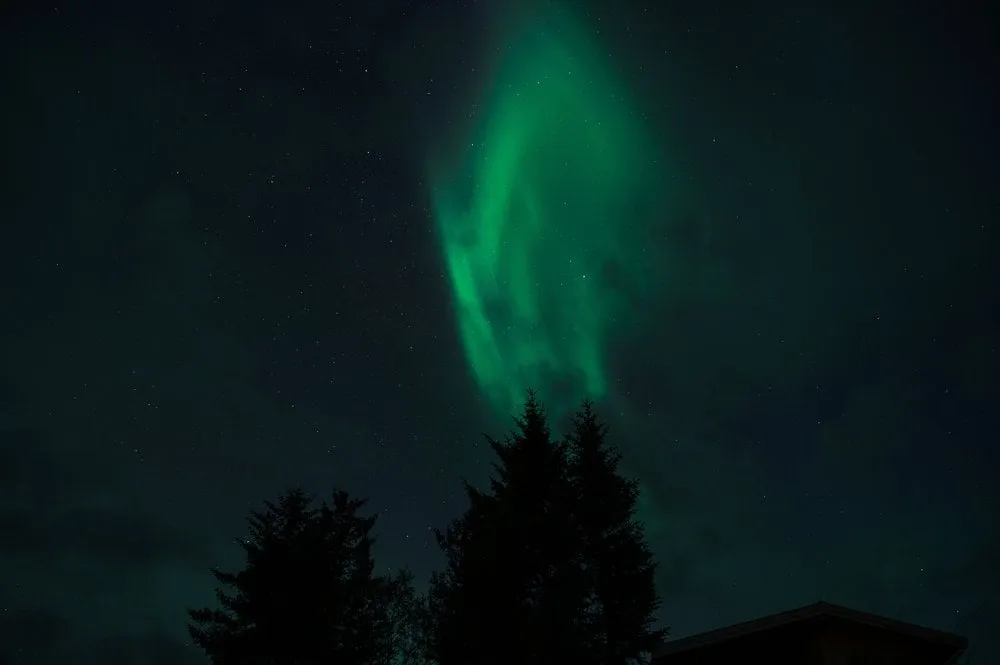 Svolvær - Senja. Bild 29