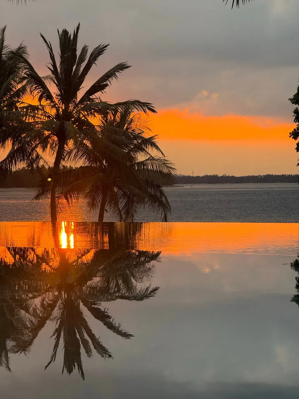 Palmen spiegeln sich im glatten Wasser des Infinity-Pools vor orangem Abendhimmel
