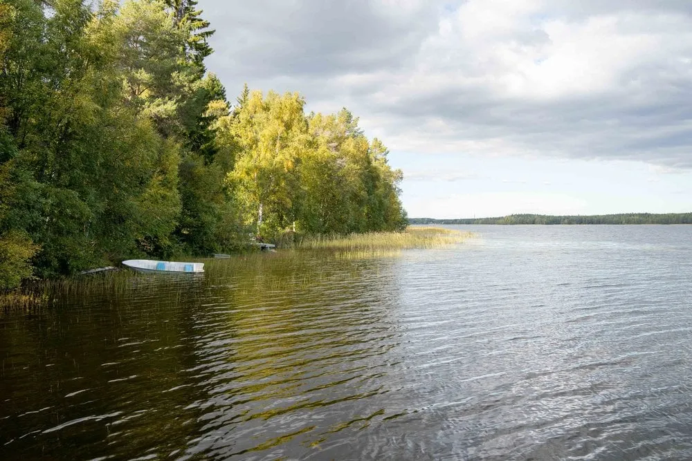 Umeå