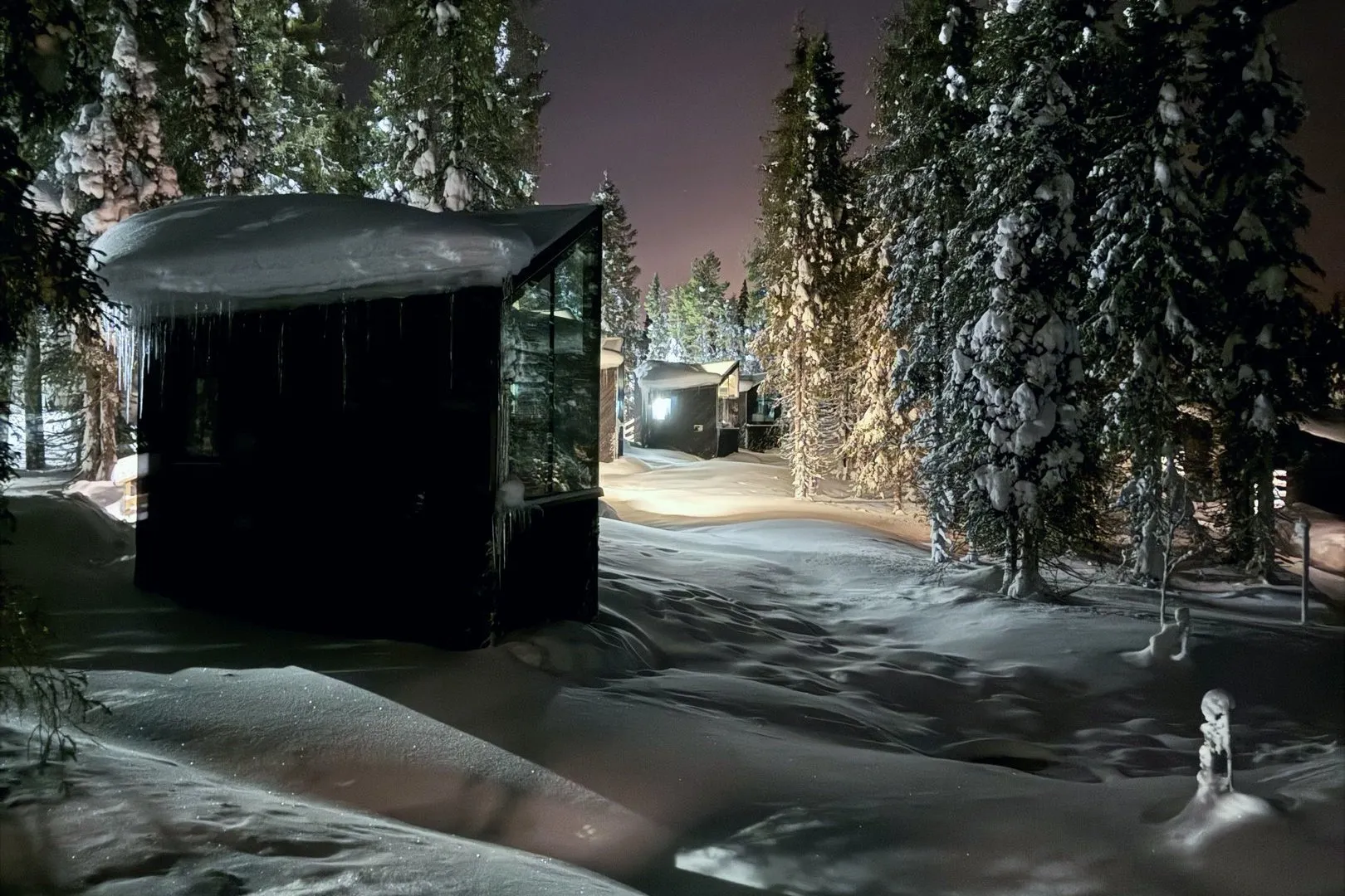 Das Glas-Iglu im nächtlichen Wald, darüber schwache Nordlichter