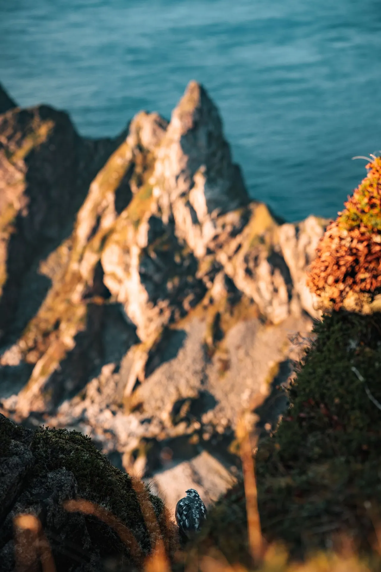 A ptarmigan below a pointed rock tower on Måtind, the sea in the background