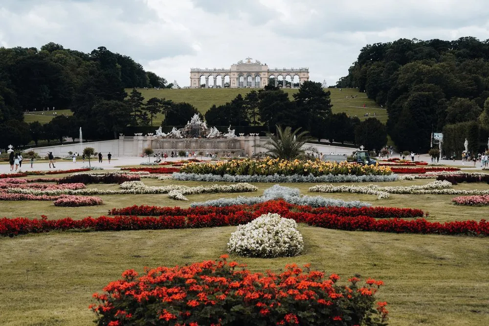 Rote und weisse Blumenbeete vor einem Brunnen, auf dem Hügel dahinter die Gloriette